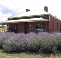 Lavender House in Railway Park - South Australia Travel