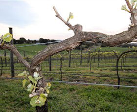 Drysdale VIC South Australia Travel