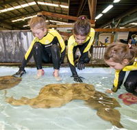 Australian Shark and Ray Centre - South Australia Travel