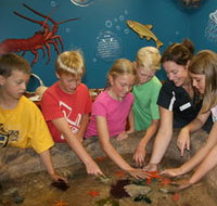 Naturaliste Marine Discovery Centre - South Australia Travel