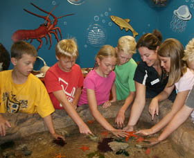 Naturaliste Marine Discovery Centre - South Australia Travel 0