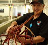 Lobster Shack - South Australia Travel