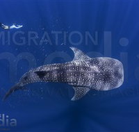 Migration Media - South Australia Travel