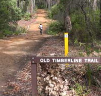 Old Timberline and Sidings Rail Trails - South Australia Travel