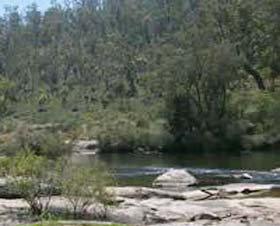 Wellington Discovery Forest - South Australia Travel 0