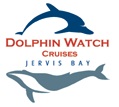Dolphin Watch Cruises - South Australia Travel 2