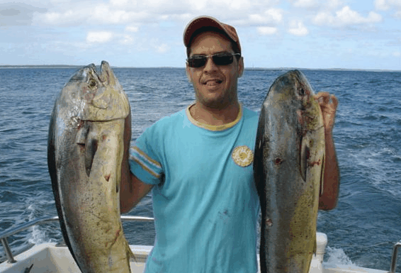 Jervis Bay Fishing and Charters - South Australia Travel