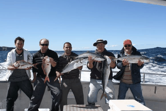 Jervis Bay Fishing And Charters - South Australia Travel 2