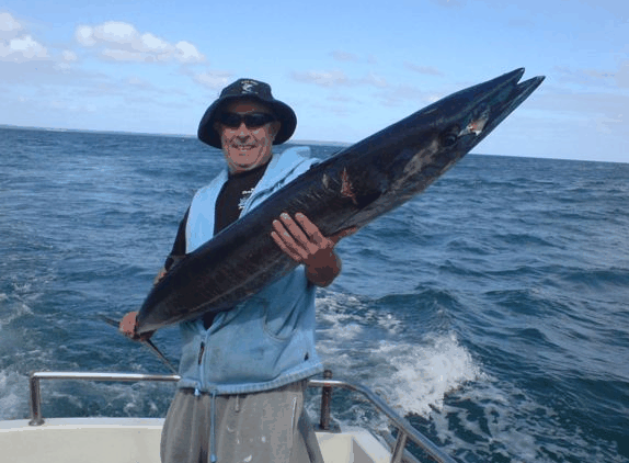 Jervis Bay Fishing And Charters - South Australia Travel 4