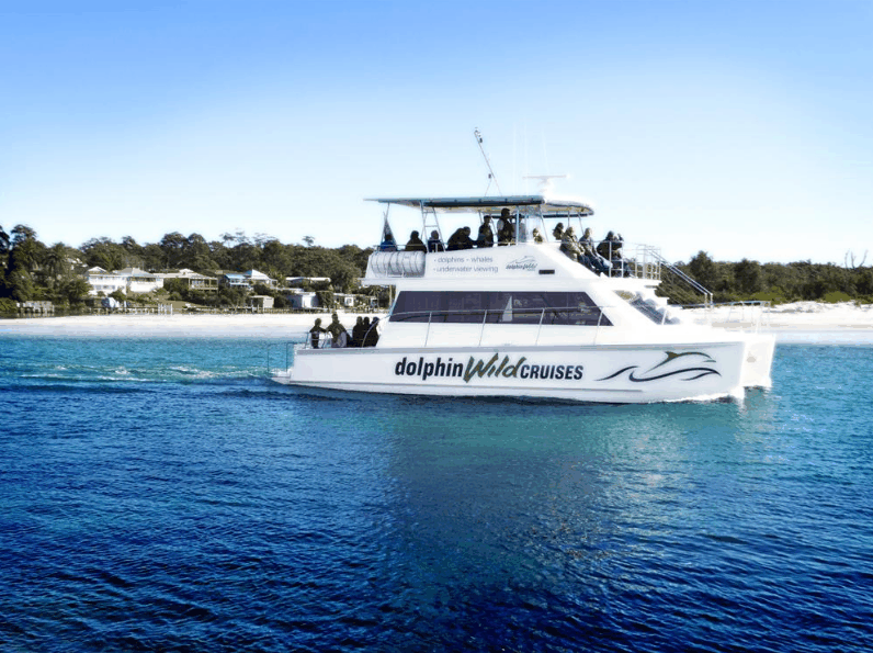 Dolphin Wild Cruises - South Australia Travel 1