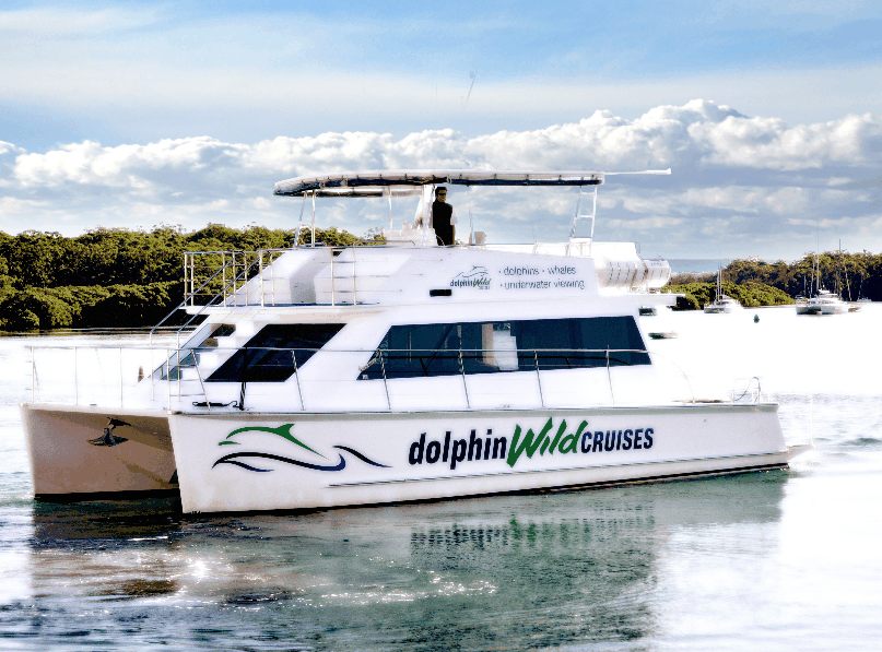 Dolphin Wild Cruises - South Australia Travel 2