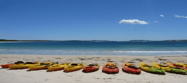 Jervis Bay Kayak & Paddlesports - South Australia Travel 5