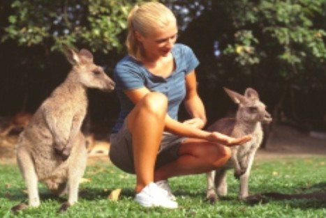 Jungle Tours And Trekking - South Australia Travel 1
