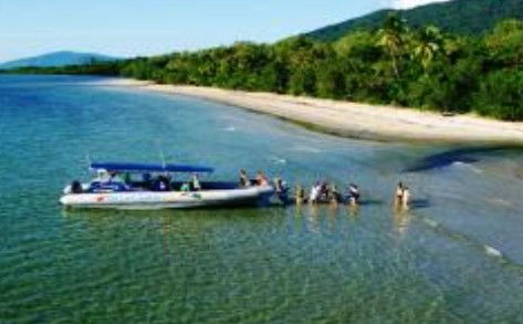 Cape Tribulation QLD South Australia Travel