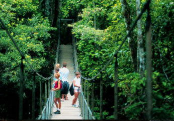BTS Tours Pty Ltd - South Australia Travel 4