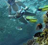 Calypso Reef Charters - South Australia Travel
