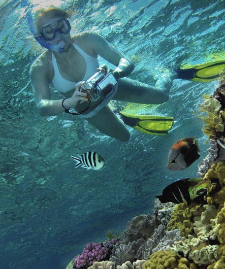 Calypso Reef Charters - South Australia Travel 0