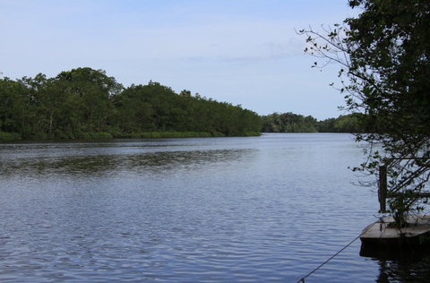 Daintree River Cruise Centre - South Australia Travel 2