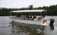 Daintree River Cruise Centre - thumb 3
