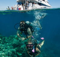 Down Under Cruise and Dive - South Australia Travel