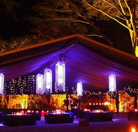 Flames Of The Forest - South Australia Travel