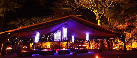 Flames Of The Forest - South Australia Travel 0