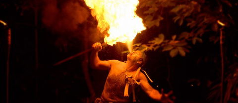 Flames Of The Forest - South Australia Travel 1