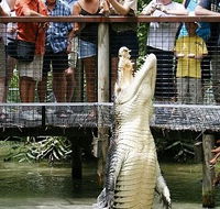 Hartley's Crocodile Adventures - South Australia Travel