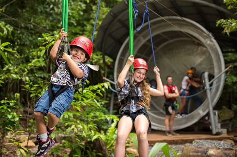 Jungle Surfing Canopy Tours And Jungle Adventures Nightwalks - South Australia Travel 2