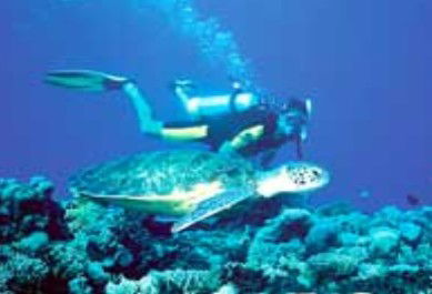 Poseidon Outer Reef Cruises - South Australia Travel 1