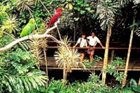 Reef And Rainforest Connections - South Australia Travel 4