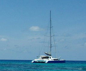 Synergy Reef Sailing - South Australia Travel 5