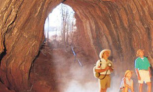 Undara Experience - South Australia Travel 3