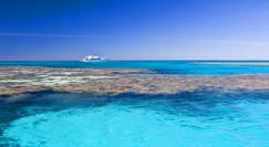 Reef Jet Cruises - South Australia Travel 0