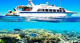 Reef Jet Cruises - South Australia Travel 2