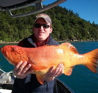 Gone Fishing by Coral Sea Fishing Charters Airlie Beach - South Australia Travel