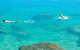 Salty Dog Sea Kayaking - thumb 1