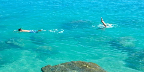 Salty Dog Sea Kayaking - South Australia Travel 1