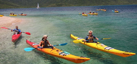 Salty Dog Sea Kayaking - South Australia Travel 2