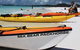 Salty Dog Sea Kayaking - thumb 8
