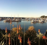 Mantaray Charters - South Australia Travel