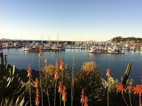 Mantaray Charters - South Australia Travel 0