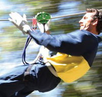 Adventure Parc - South Australia Travel