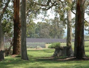 Stanthorpe QLD South Australia Travel