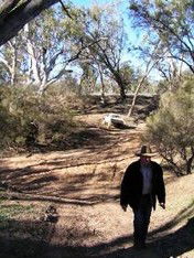 Auchenflower QLD South Australia Travel