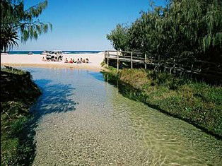Fraser Island QLD South Australia Travel