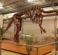 Australia's Dinosaur Trail - South Australia Travel