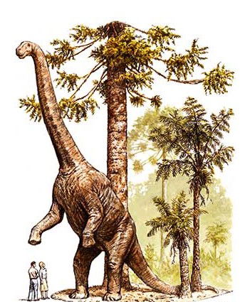 Australian Age Of Dinosaurs - South Australia Travel 2