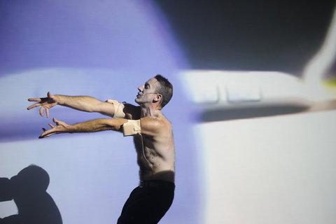 Arts House - South Australia Travel 0