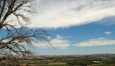 Tanunda